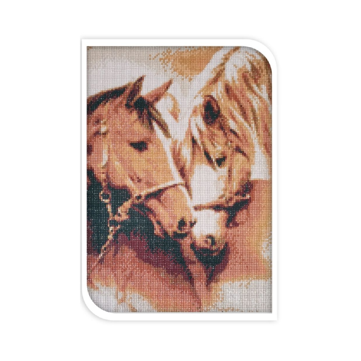 40cm x 50cm Diamond Painting Kit
