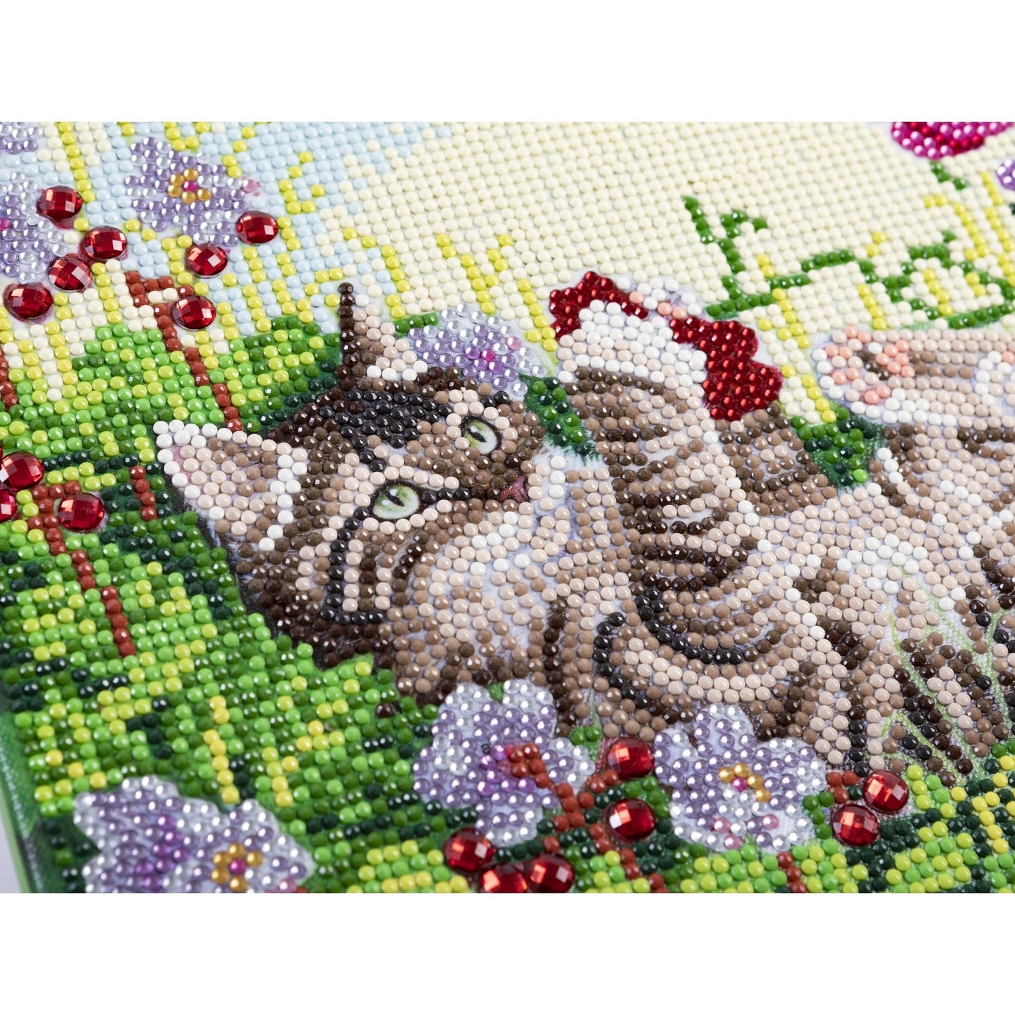 Playful Cat - Craft Buddy 30cm x 30cm Mounted Crystal Art Kit - Partial Crystal Kit