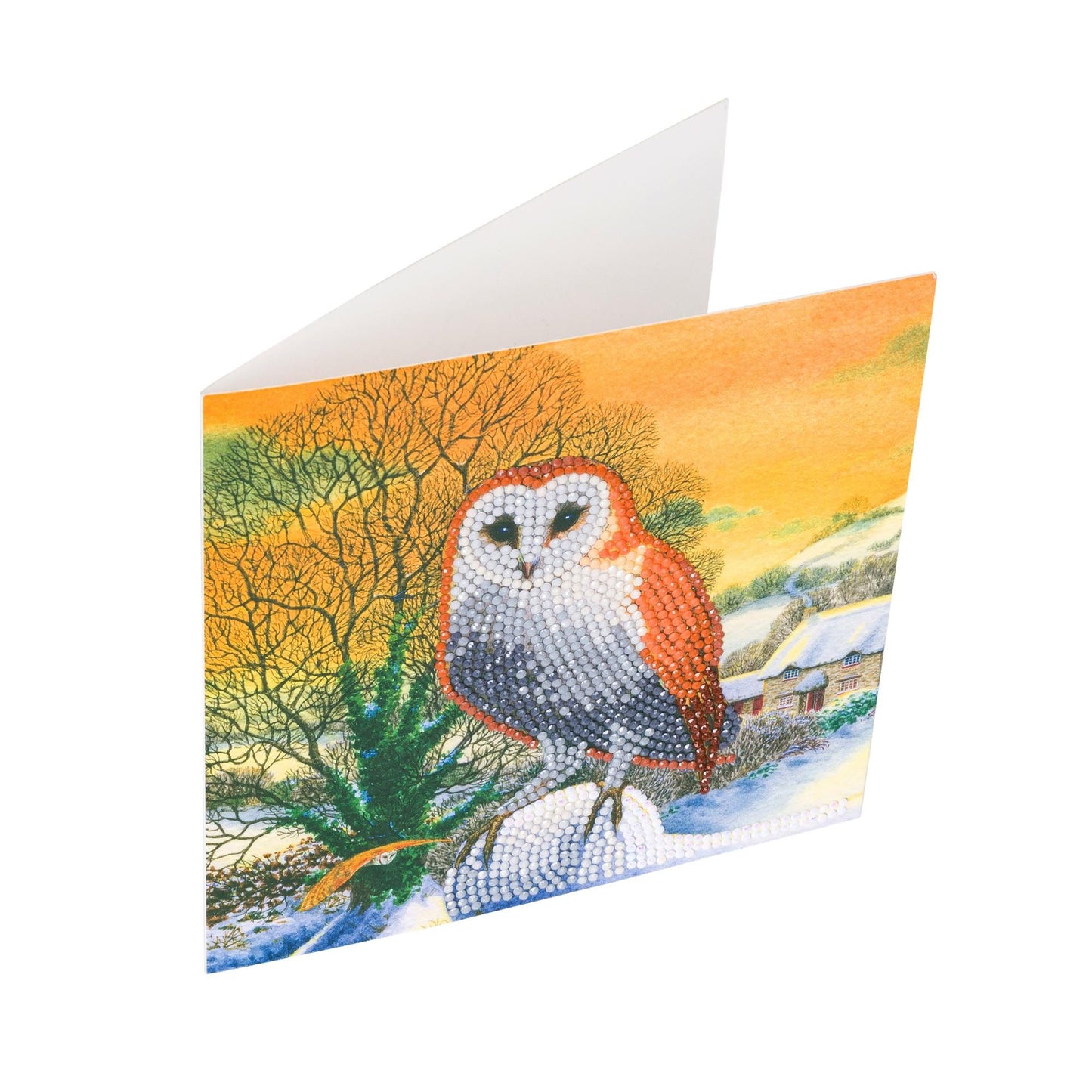 Craft Buddy 18x18cm DIY Crystal Christmas Card Kit ~ 2020 Designs