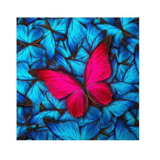 Craft Buddy 18x18cm DIY Crystal Card Kit ~ Butterfly