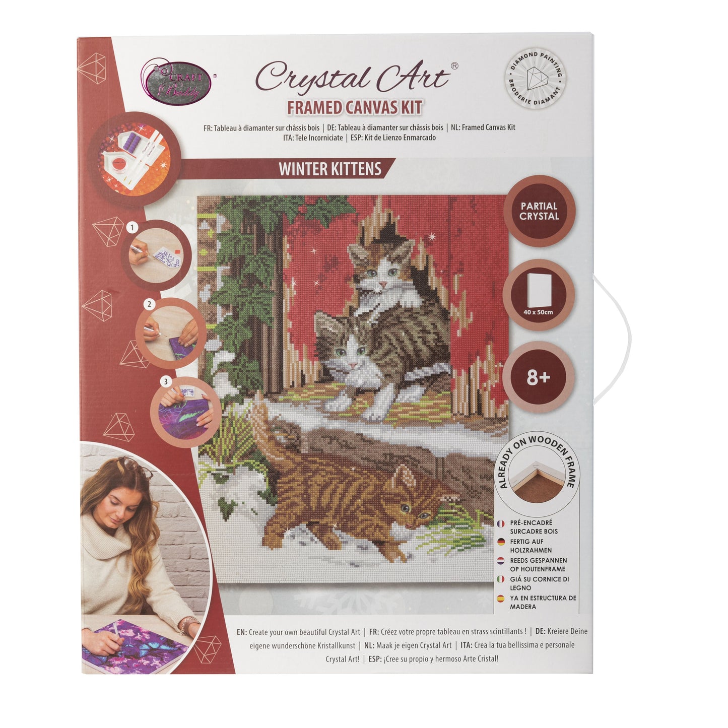 Craft Buddy Partial Crystal Mounted Crystal Art Kit 40cm x 50cm - Winter Kittens