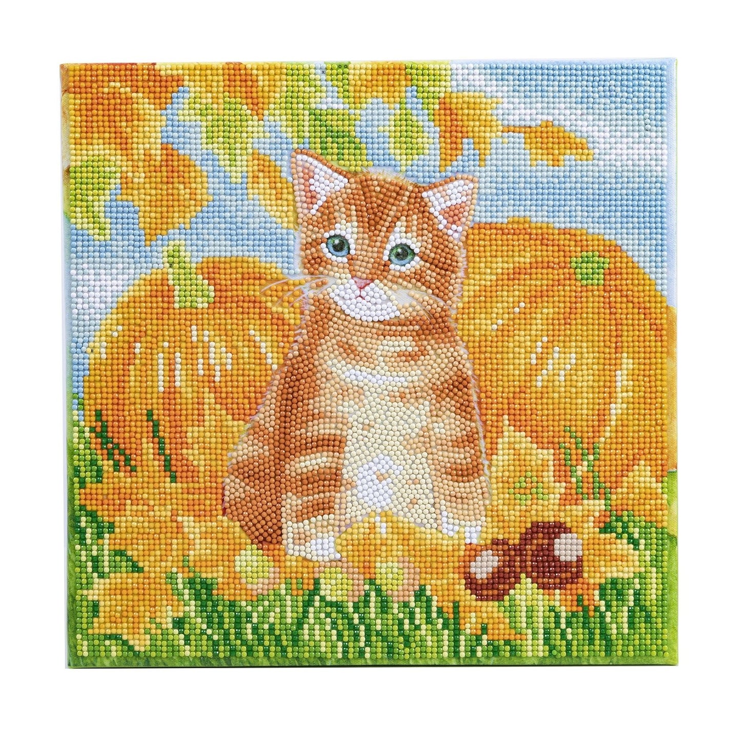 Autumn Cat - Craft Buddy 30cm x 30cm Mounted Crystal Art Kit - Partial Crystal Kit