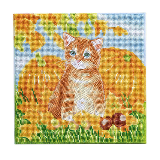 Autumn Cat - Craft Buddy 30cm x 30cm Mounted Crystal Art Kit - Partial Crystal Kit