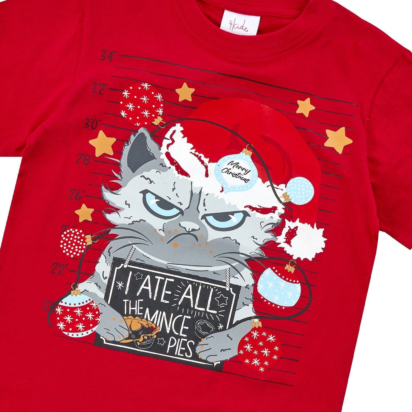 Childrens Cotton Christmas T Shirt ~ 7-13 years