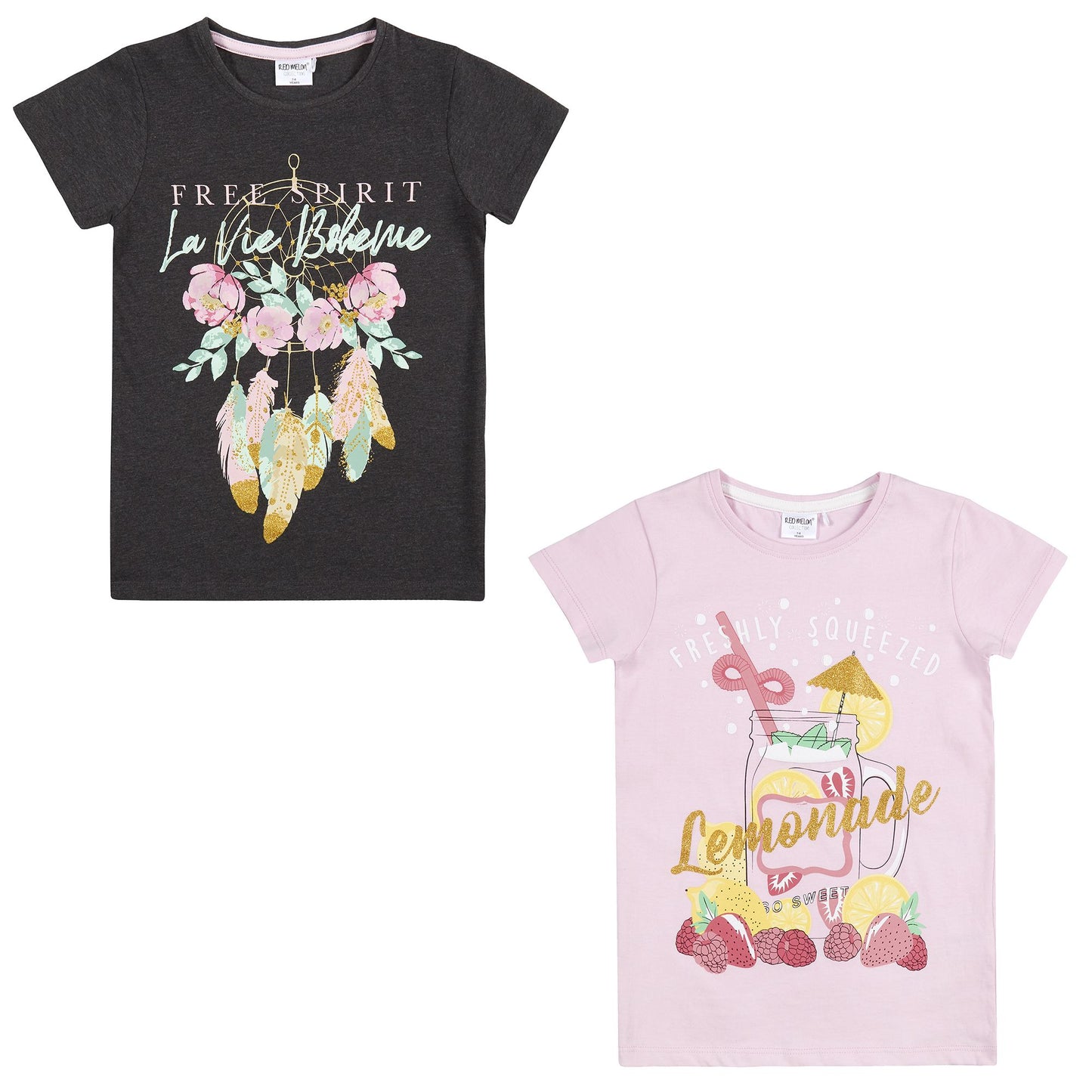 Pack of 2 Girls Printed Summer TShirts ~ 7-13 years