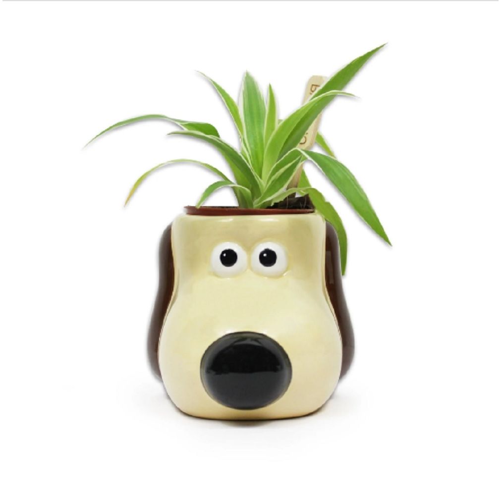 Plant Pot/Planter - GROMIT