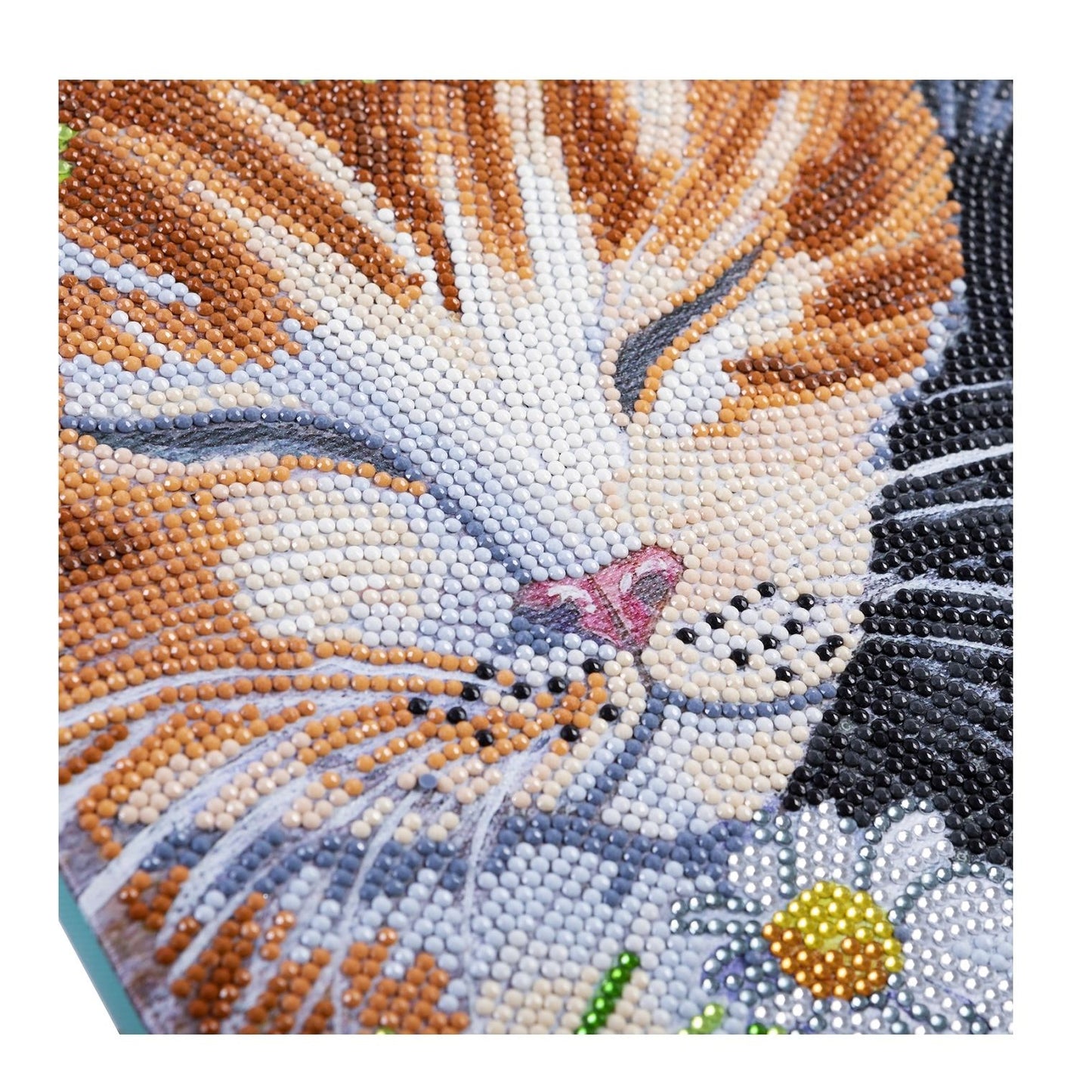 Craft Buddy 30cm x 30cm Mounted Crystal Art Kit - Partial Crystal - Sleepy Cats