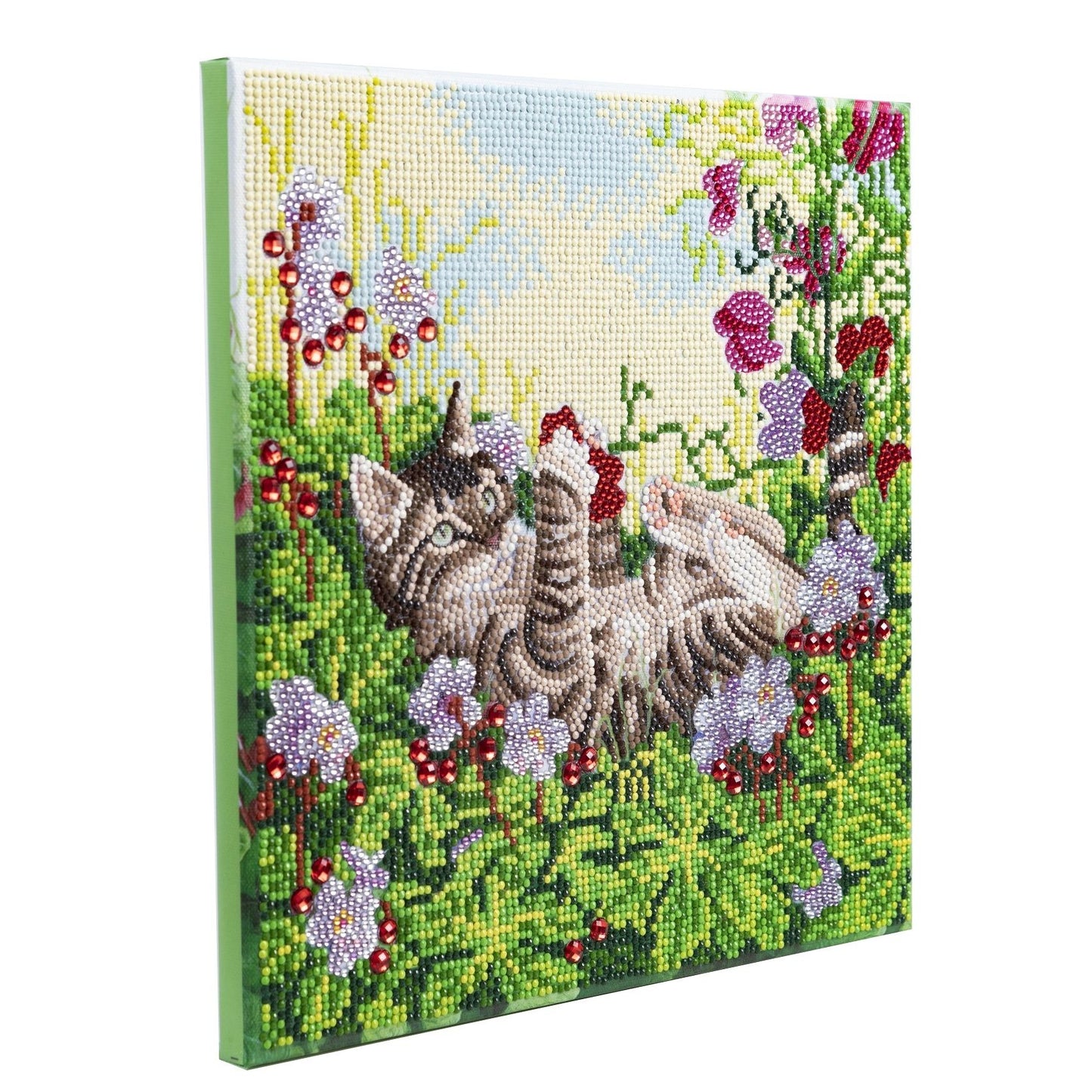 Playful Cat - Craft Buddy 30cm x 30cm Mounted Crystal Art Kit - Partial Crystal Kit
