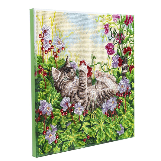 Playful Cat - Craft Buddy 30cm x 30cm Mounted Crystal Art Kit - Partial Crystal Kit