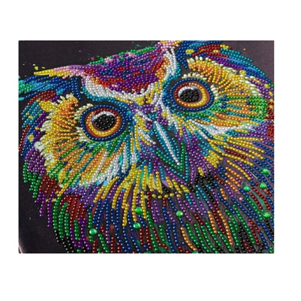 Craft Buddy Part Crystal Framed Crystal Art Kit 30cm x 30cm - Nocturnal Wonder - Special Crystals
