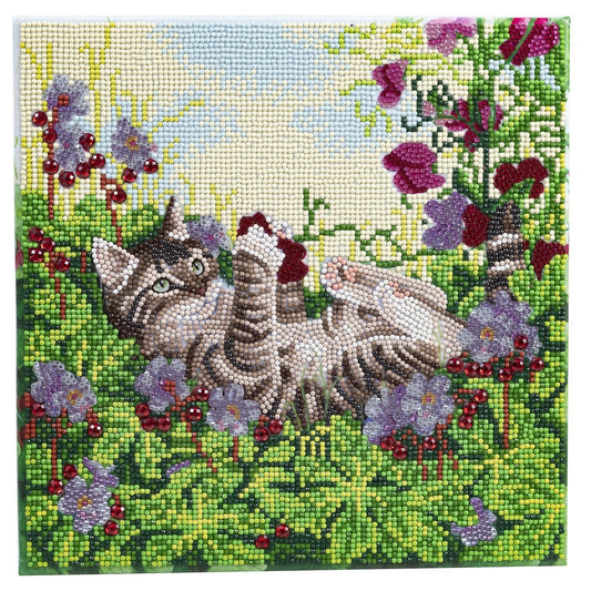 Playful Cat - Craft Buddy 30cm x 30cm Mounted Crystal Art Kit - Partial Crystal Kit