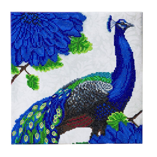 Craft Buddy Partial Crystal Mounted Crystal Art Kit 30cm x 30cm ~ Flowering Peacock