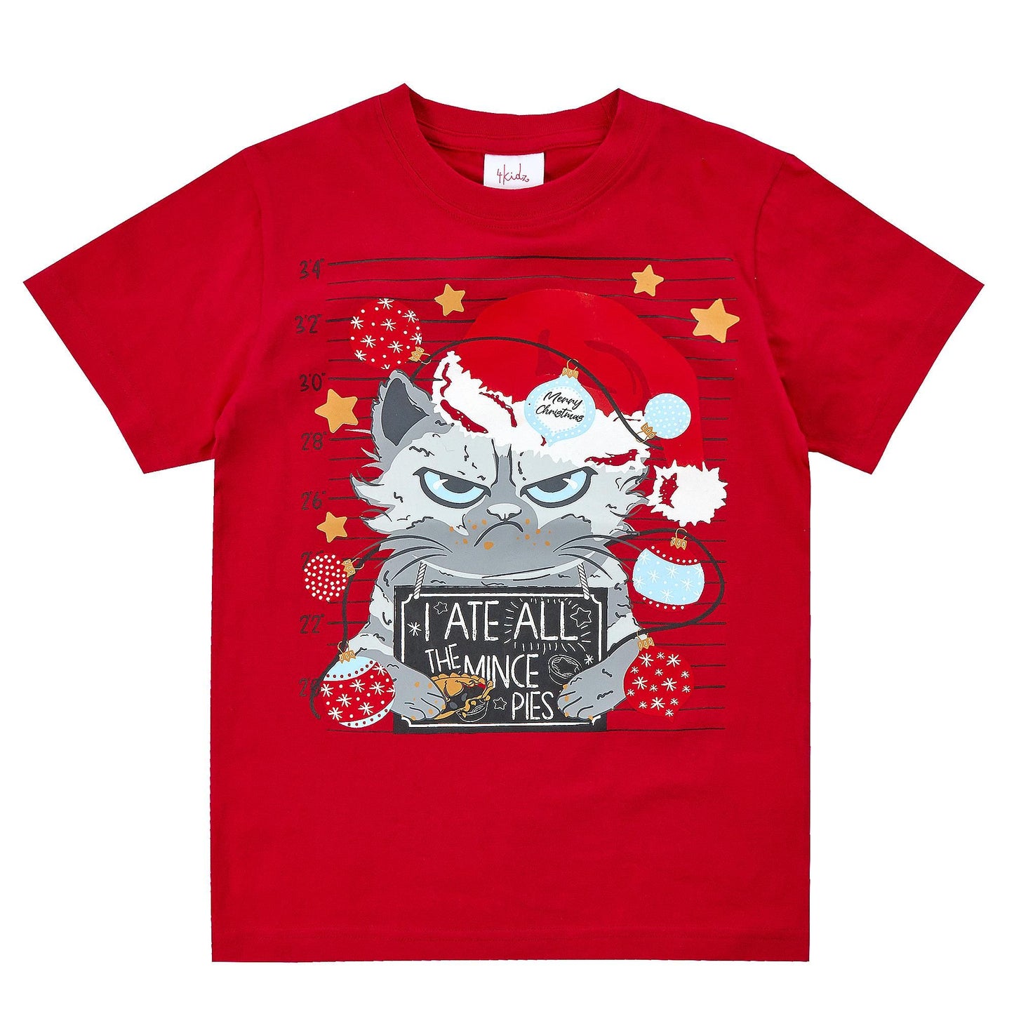 Childrens Cotton Christmas T Shirt ~ 7-13 years
