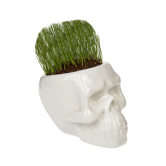 Ceramic Skull Grass Head