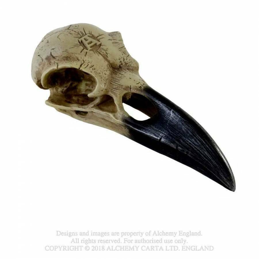 Ornament - Gothic/Mystery/Pagan - CORVUS ALCHEMICA - Raven Skull