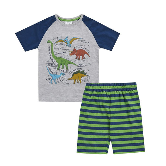 Childrens Dinosaur Short Pyjama Set ~ 3-10 years