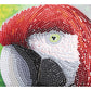 Craft Buddy DIY Crystal Art / Diamond Painting Greetings Card Kit - Pretty Parrot
