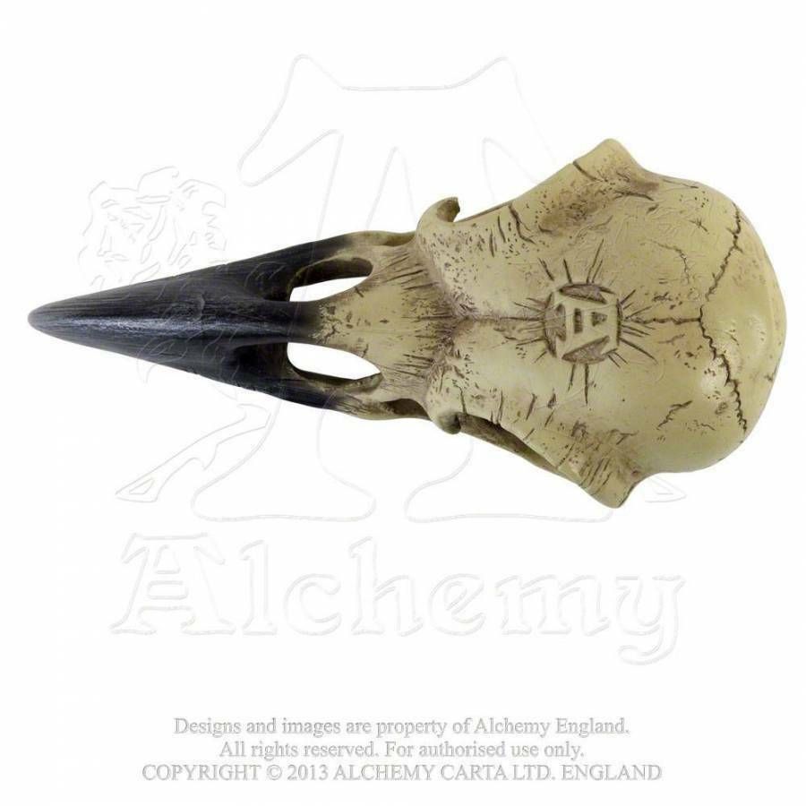 Ornament - Gothic/Mystery/Pagan - CORVUS ALCHEMICA - Raven Skull