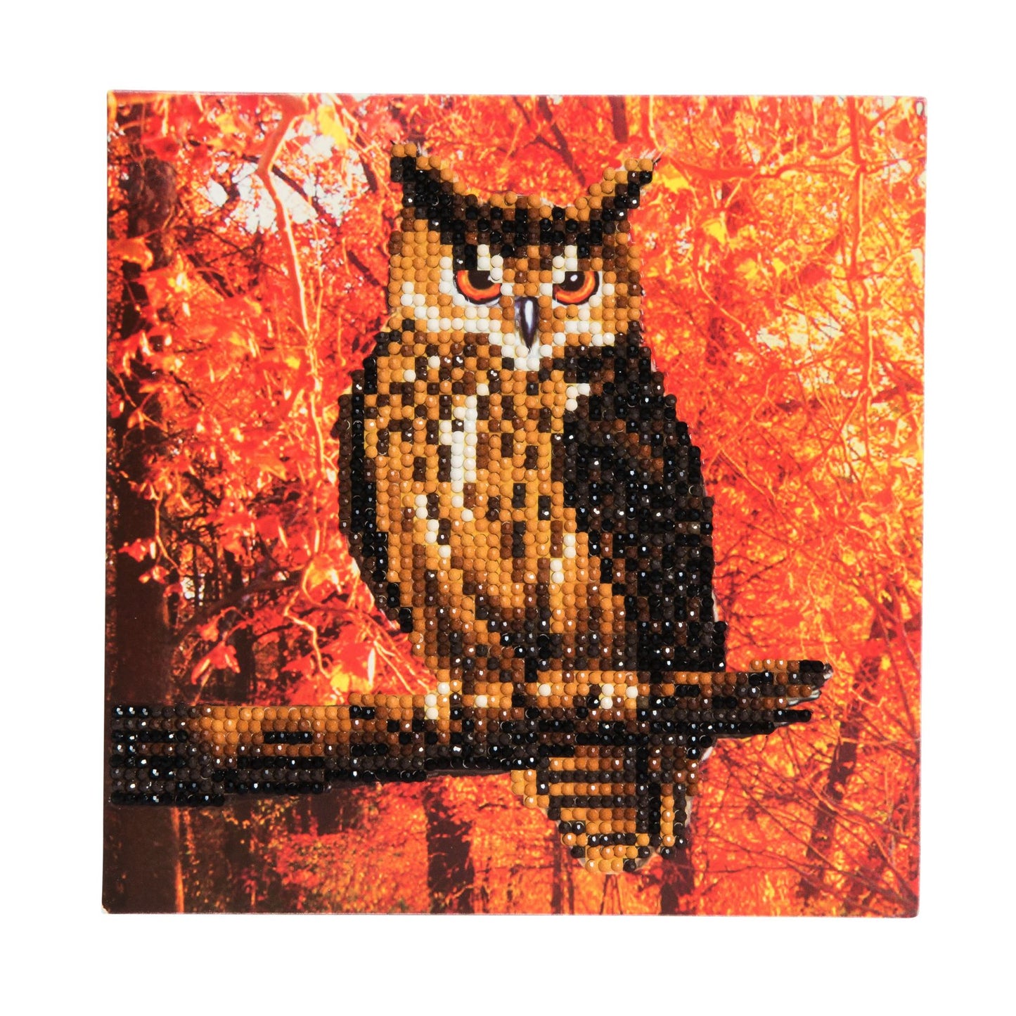 Craft Buddy 18x18cm DIY Crystal Card Kit ~ Autumn Owl