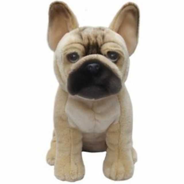 Soft Toy/Plush - Dog ~ FRENCH BULLDOG (Fawn)